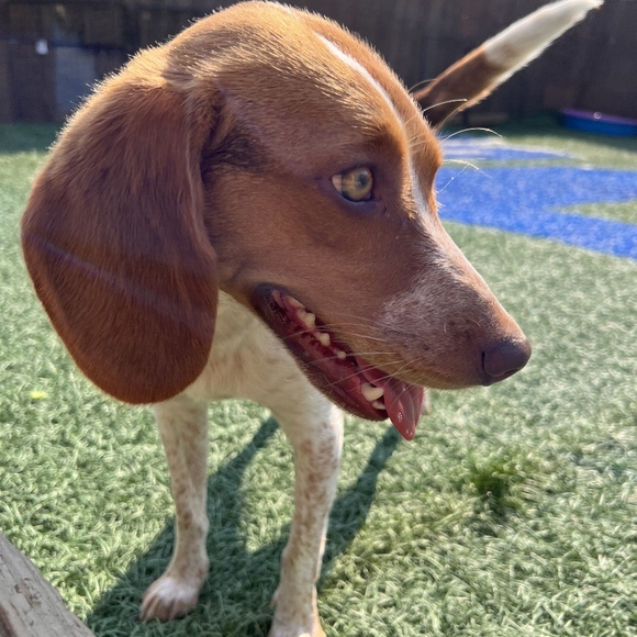 Meet your Posher, Ashley - Picture 7 of 9